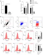 CD86 (B7-2) Antibody in Flow Cytometry (Flow)