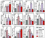 IL-13 Antibody in Neutralization (Neu)