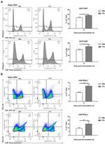 IFN gamma Antibody in Flow Cytometry (Flow)