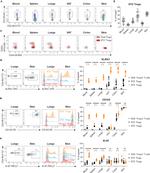 CD103 (Integrin alpha E) Antibody in Flow Cytometry (Flow)