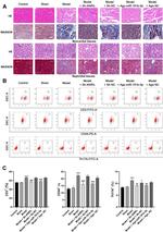 CD44 Antibody in Flow Cytometry (Flow)