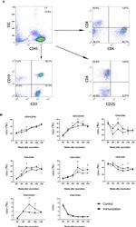 CD4 Antibody in Flow Cytometry (Flow)