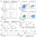 CD95 (APO-1/Fas) Antibody in Flow Cytometry (Flow)