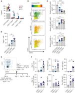 CD27 Antibody in Flow Cytometry (Flow)