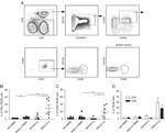 CD28 Antibody in Flow Cytometry (Flow)