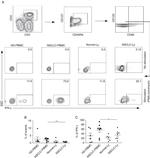 CD45RA Antibody in Flow Cytometry (Flow)