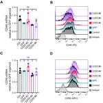 CD59 (Protectin) Antibody in Flow Cytometry (Flow)