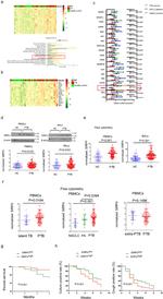 CD172a (SIRP alpha) Antibody in Flow Cytometry (Flow)