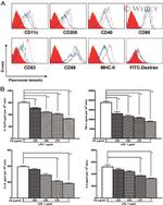 CD205 Antibody in Flow Cytometry (Flow)