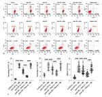 FOXP3 Antibody in Flow Cytometry (Flow)