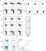 EOMES Antibody in Flow Cytometry (Flow)