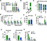 IL-1 beta (Pro-form) Antibody in Flow Cytometry (Flow)