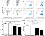 IFN gamma Antibody in Flow Cytometry (Flow)