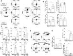 Gata-3 Antibody in Flow Cytometry (Flow)