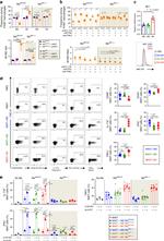 TNF alpha Antibody in Flow Cytometry (Flow)