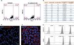 CD49d (Integrin alpha 4) Antibody in Flow Cytometry (Flow)