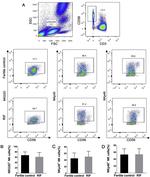 CD337 (NKp30) Antibody in Flow Cytometry (Flow)