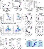 Ly-6C Antibody in Flow Cytometry (Flow)