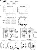 CD267 (TACI) Antibody in Flow Cytometry (Flow)