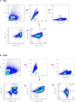 IL-12 p35 Antibody in Flow Cytometry (Flow)