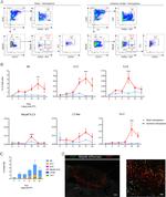 IL-33R (ST2) Antibody in Flow Cytometry (Flow)