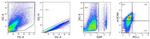 CD274 (PD-L1, B7-H1) Antibody in Flow Cytometry (Flow)