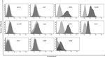 CD73 Antibody in Flow Cytometry (Flow)