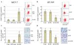 CD24 Antibody in Flow Cytometry (Flow)