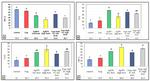 Bcl-2 Antibody in Immunohistochemistry (IHC)