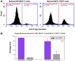 P-Glycoprotein Antibody in Flow Cytometry (Flow)