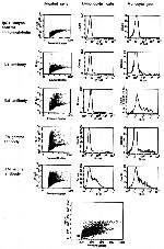 TNF alpha Antibody in Flow Cytometry (Flow)