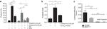 CD62P (P-Selectin) Antibody in Flow Cytometry (Flow)