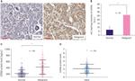 Lass6 Antibody in Immunohistochemistry (IHC)