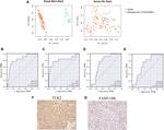 FAM118B Antibody in Immunohistochemistry (IHC)