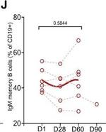 Mouse IgM (Heavy chain) Secondary Antibody in ELISA (ELISA)