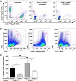 CD45.2 Antibody in Flow Cytometry (Flow)