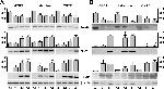 Mouse IgG, IgM, IgA (H+L) Secondary Antibody in Western Blot (WB)