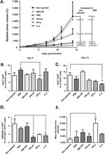 MHC Class I (H-2Kb) Antibody in Flow Cytometry (Flow)