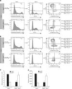 CD45R (B220) Antibody in Flow Cytometry (Flow)