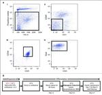 CD31 (PECAM-1) Antibody in Flow Cytometry (Flow)