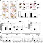 IgD Antibody in Flow Cytometry (Flow)