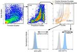 CD11c Antibody in Flow Cytometry (Flow)