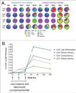 CD8a Antibody in Flow Cytometry (Flow)