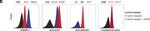 Mouse IgG (H+L) Secondary Antibody in Flow Cytometry (Flow)