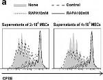 Mouse IgG1 kappa Isotype Control in Flow Cytometry (Flow)