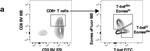 Mouse IgG1 kappa Isotype Control in Flow Cytometry (Flow)