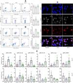 CD4 Antibody in Flow Cytometry (Flow)