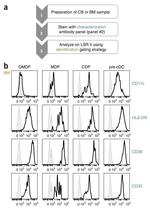 CD33 Antibody in Flow Cytometry (Flow)