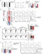 CD69 Antibody in Flow Cytometry (Flow)