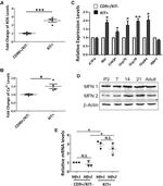 CD9 Antibody in Flow Cytometry (Flow)